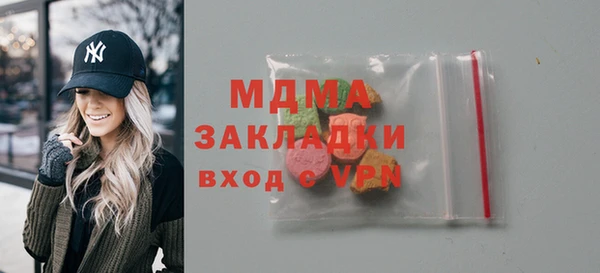 индика Алексин