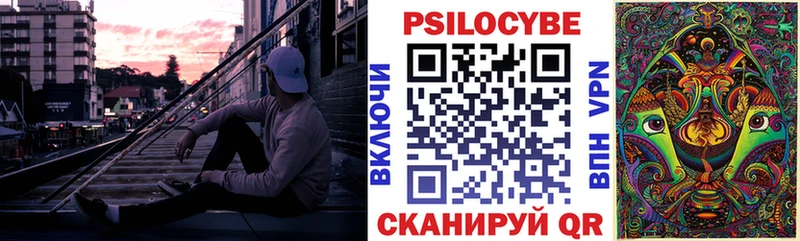 Галлюциногенные грибы Psilocybe  KRAKEN ссылка  Щёлкино  продажа наркотиков 